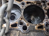 070100103BX Блок цилиндров (Шорт блок) Volkswagen Touareg 2002-2007 20467825 #7