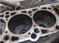  Блок цилиндров (Шорт блок) Volkswagen Touareg 2002-2007 20467828 #8