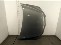  Капот Opel Antara 20468485 #1