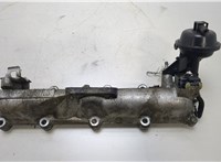  Коллектор впускной Opel Meriva 2003-2010 20469171 #1