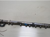 13537805423, 7805423 Рампа (рейка) топливная BMW X5 E70 2006-2013 20469401 #1