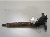 13537805428, 13537805429, 7805428 Форсунка топливная BMW X5 E70 2006-2013 20469405 #1