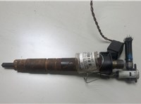 13537805428, 13537805429, 7805428 Форсунка топливная BMW X5 E70 2006-2013 20469407 #1