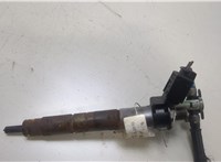 13537805428, 13537805429, 7805428 Форсунка топливная BMW X5 E70 2006-2013 20469409 #1