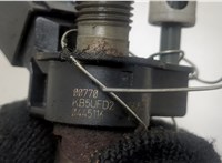 13537805428, 13537805429, 7805428 Форсунка топливная BMW X5 E70 2006-2013 20469409 #3