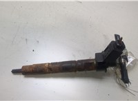 13537805428, 13537805429, 7805428 Форсунка топливная BMW X5 E70 2006-2013 20469412 #1