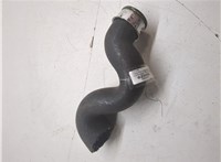  Патрубок интеркулера Volkswagen Passat 5 2000-2005 20469551 #1