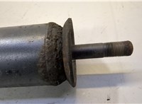  Амортизатор подвески DAF XF 105 2006-2013 20469565 #3