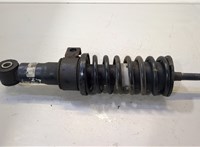  Пружина подвески Iveco EuroCargo 3 2015- 11431178 #1