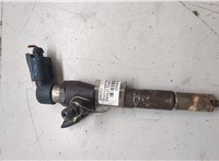 166008052R Форсунка топливная Renault Scenic 2009-2012 20469824 #5