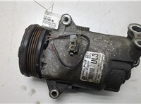  Компрессор кондиционера Opel Zafira B 2005-2012 20470288 #1