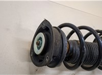  Амортизатор подвески Volkswagen Taos 20470359 #2
