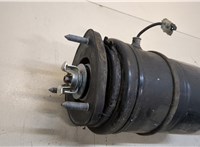  Амортизатор подвески Lexus LS460 2006-2012 20470420 #2