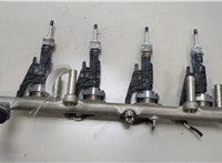 13641730060 Форсунка топливная BMW 3 G20, G21 2018-2025 20470564 #1