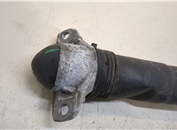  Амортизатор подвески Volkswagen Tiguan 2016-2020 20470574 #2