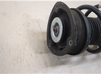  Амортизатор подвески Volkswagen Tiguan 2016-2020 20470595 #2