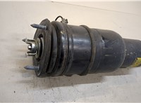  Амортизатор подвески Lexus LS460 2006-2012 20470616 #2