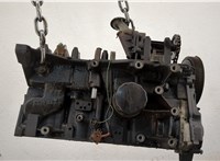  Блок цилиндров (Шорт блок) Renault Clio 1998-2008 20471442 #1