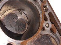  Блок цилиндров (Шорт блок) Renault Clio 1998-2008 20471442 #9