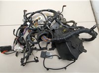 243821AA1A, 243821UM0A, 243831AA0A Электропроводка Nissan Murano 2008-2015 20471841 #1