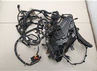 243821AA1A, 243821UM0A, 243831AA0A Электропроводка Nissan Murano 2008-2015 20471841 #2