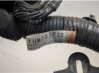 243821AA1A, 243821UM0A, 243831AA0A Электропроводка Nissan Murano 2008-2015 20471841 #5