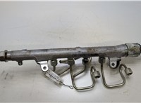 03L130089AA Рампа (рейка) топливная Volkswagen Passat 7 2010-2015 Европа 20471949 #4