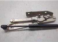 15929859 Петля крышки багажника Cadillac CTS 2007-2014 20472504 #5