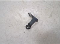  Петля двери Audi SQ5 2013-2017 20472542 #1