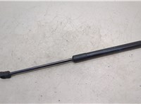 51237148346 Амортизатор капота BMW X6 E71 2007-2014 20472640 #1