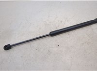 51237148346 Амортизатор капота BMW X6 E71 2007-2014 20472642 #1