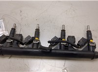 Форсунка топливная Citroen C3 2009-2016 20472681 #1