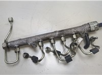 03L130089B Рампа (рейка) топливная Volkswagen Golf Plus 20472983 #4
