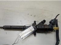  Форсунка топливная Citroen Berlingo 2008-2012 20473908 #1