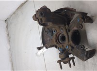1K0407621F, 1K0407255P, 1K0615311F Ступица (кулак, цапфа) Volkswagen Golf 5 2003-2009 20473997 #6