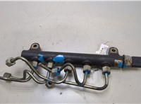  Рампа (рейка) топливная Opel Antara 20474805 #4