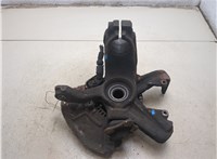 1J0407613G, 1J0407255AG Ступица (кулак, цапфа) Volkswagen Golf 4 1997-2005 20474935 #5