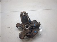 1J0407613G, 1J0407256N Ступица (кулак, цапфа) Volkswagen Golf 4 1997-2005 20474981 #3