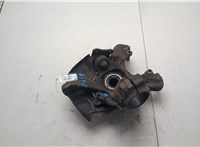 1J0407613G, 1J0407256N Ступица (кулак, цапфа) Volkswagen Golf 4 1997-2006 20474981 #6