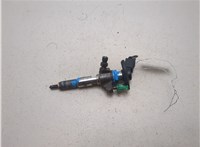 9802448680 Форсунка топливная Ford Focus 3 2011-2015 20475518 #1