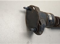  Амортизатор подвески Mercedes GL X164 2006-2012 20476194 #2