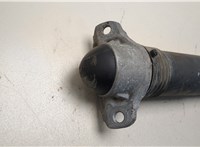  Амортизатор подвески Volkswagen Tiguan 2016-2020 20476429 #2