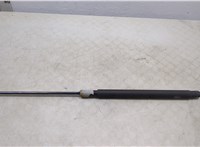  Амортизатор капота Mercedes GL X164 2006-2012 20476977 #2