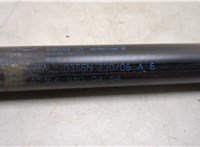  Амортизатор капота Mercedes GL X164 2006-2012 20476977 #4