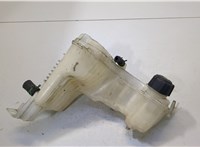  Бачок расширительный Renault Laguna 3 2007- 20477133 #1