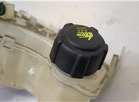  Бачок расширительный Renault Laguna 3 2007- 20477133 #2