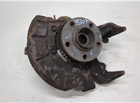 1J0407613G, 1J0407256AG, 1J0615312A Ступица (кулак, цапфа) Volkswagen Golf 4 1997-2005 20477344 #1