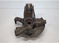 1J0407613G, 1J0407256AG, 1J0615312A Ступица (кулак, цапфа) Volkswagen Golf 4 1997-2005 20477344 #4