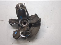 1J0407613G, 1J0407256AG, 1J0615312A Ступица (кулак, цапфа) Volkswagen Golf 4 1997-2005 20477344 #7