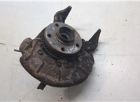 1J0407613G, 1J0407256AG, 1J0615312A Ступица (кулак, цапфа) Volkswagen Golf 4 1997-2005 20477344 #8